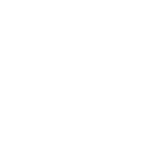 Implementation Icon